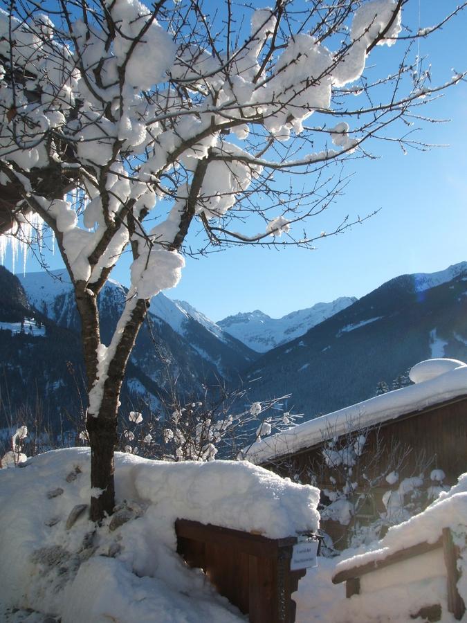 Haus Talblick Daire Bad Gastein Dış mekan fotoğraf